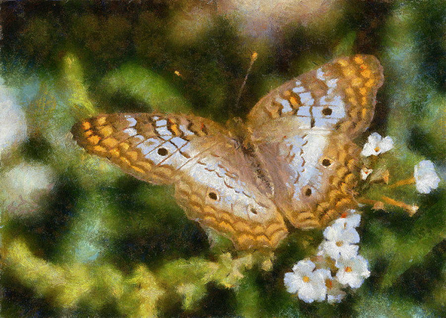 Speckled Butterfly Digital Art by Charmaine Zoe