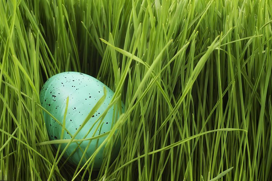 Easter Photograph - Speckled Egg In The Grass by Chris Knorr