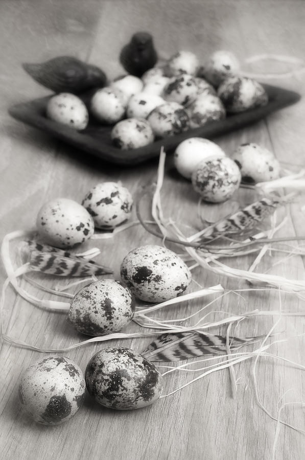 Still Life Photograph - Speckled Quail Eggs by Amanda Elwell