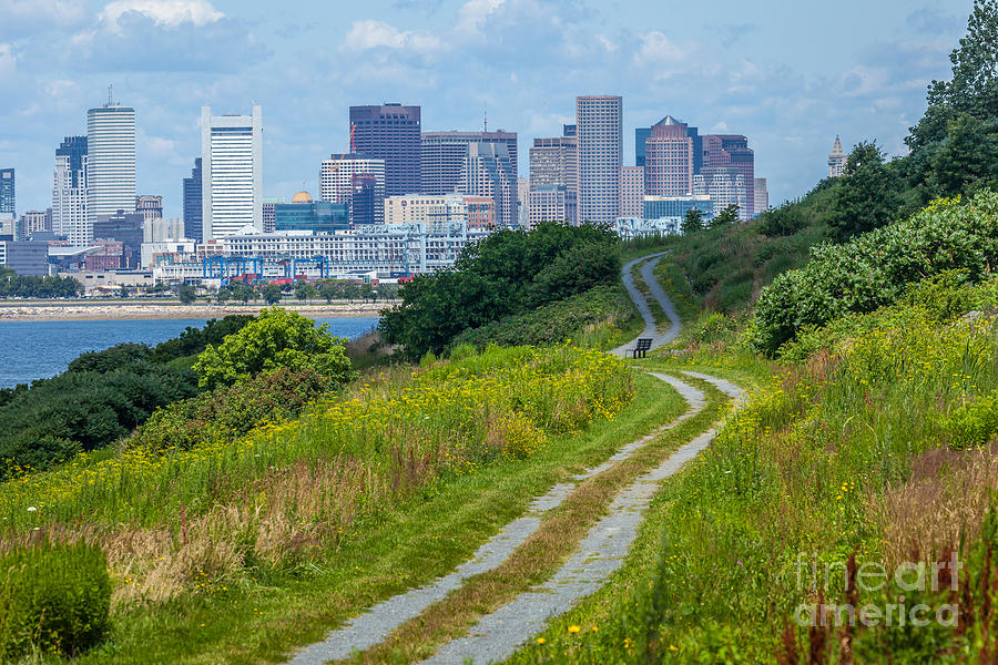 Spectacle Island View of Boston Photograph by Susan Cole Kelly
