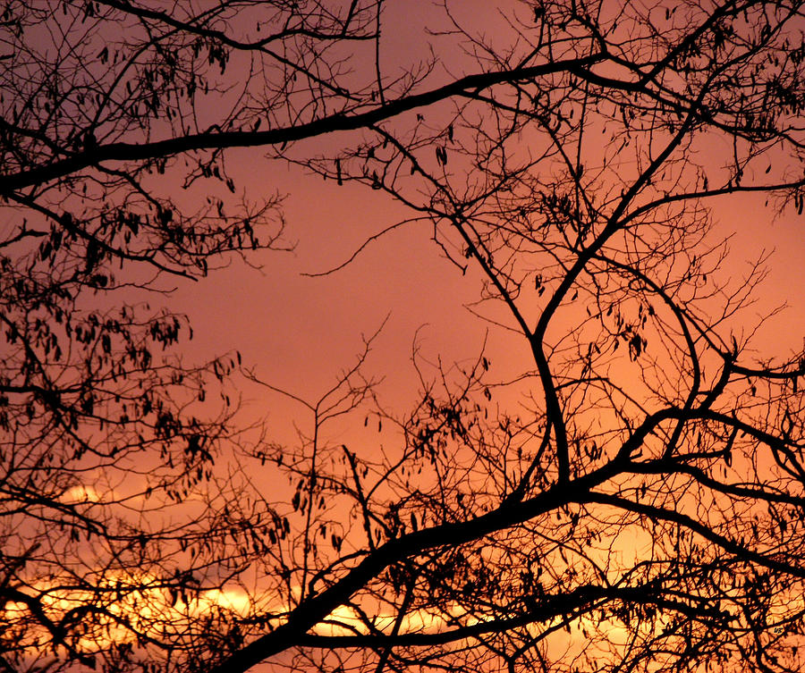 Sunset Photograph - Spectacular Sky And Silhouettes by Will Borden