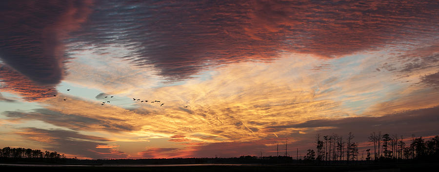 2013 Photograph - Spectacular Sunset at Blackwater National Wildlife Refuge by Lauren Brice 2013 Photograph - Spectacular Sunset at Blackwater National Wildlife Refuge by Lauren Brice