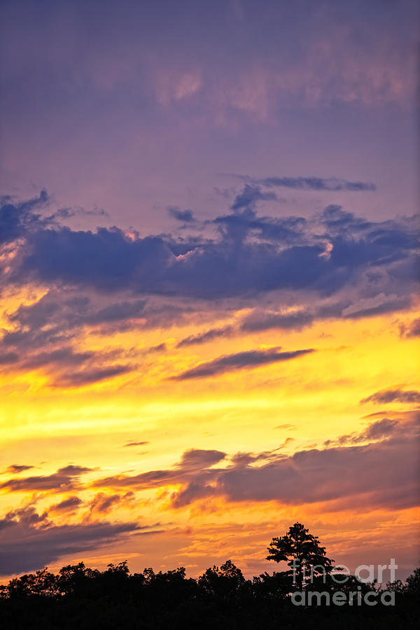 Sunset Photograph - Spectacular sunset by Elena Elisseeva