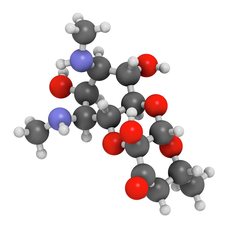 Spectinomycin Gonorrhoea Drug Molecule Photograph by Molekuul - Pixels