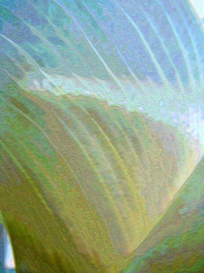Spectrum Calla Lily  Photograph by Lora Fisher