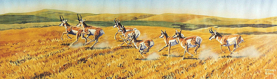 Speed goats Painting by Tim  Joyner