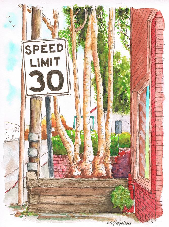Speed Limit 30 sign in Laguna Beach - California Painting by Carlos G Groppa