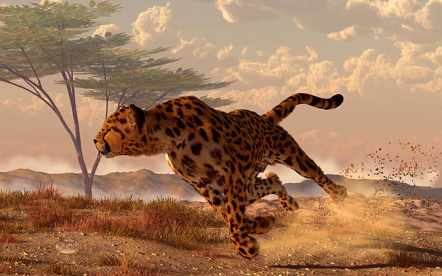 Speeding Cheetah Digital Art by Daniel Eskridge
