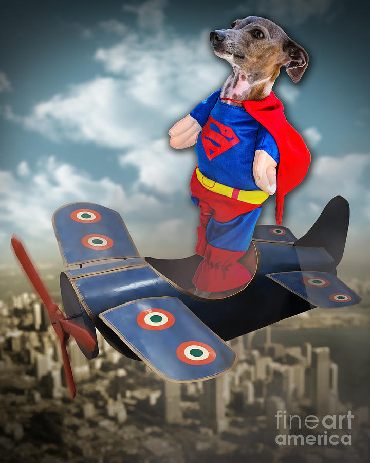 Superman Digital Art - SPEEDOlini Flying High by Kathy Tarochione