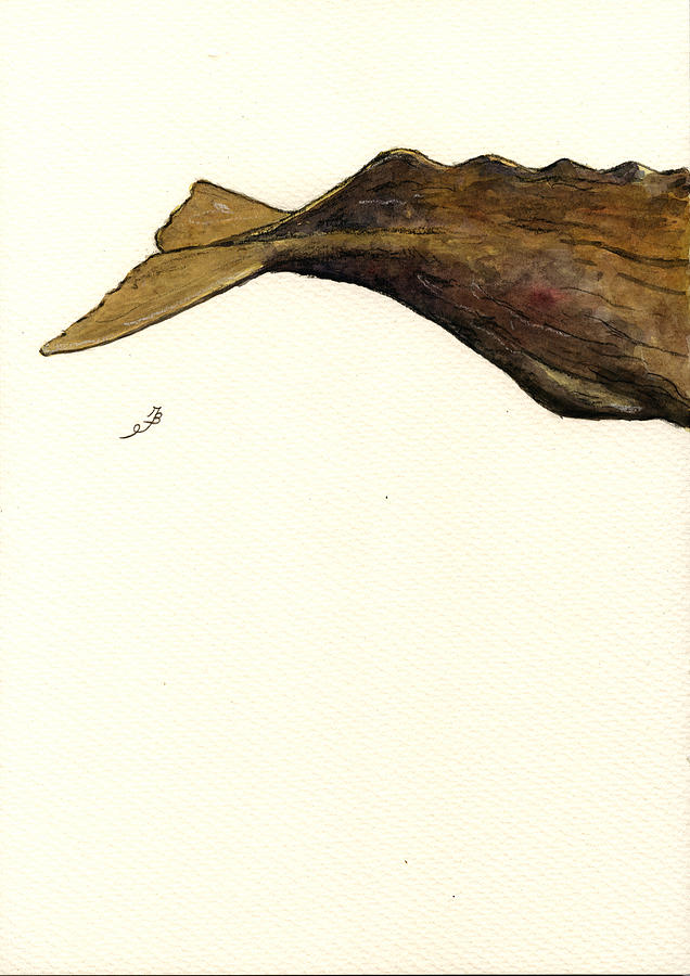 Wildlife Painting - Sperm whale third part by Juan  Bosco
