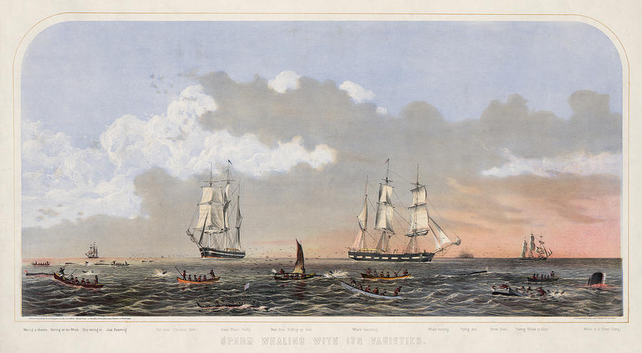 Sperm Whaling, 1870 Painting by Granger