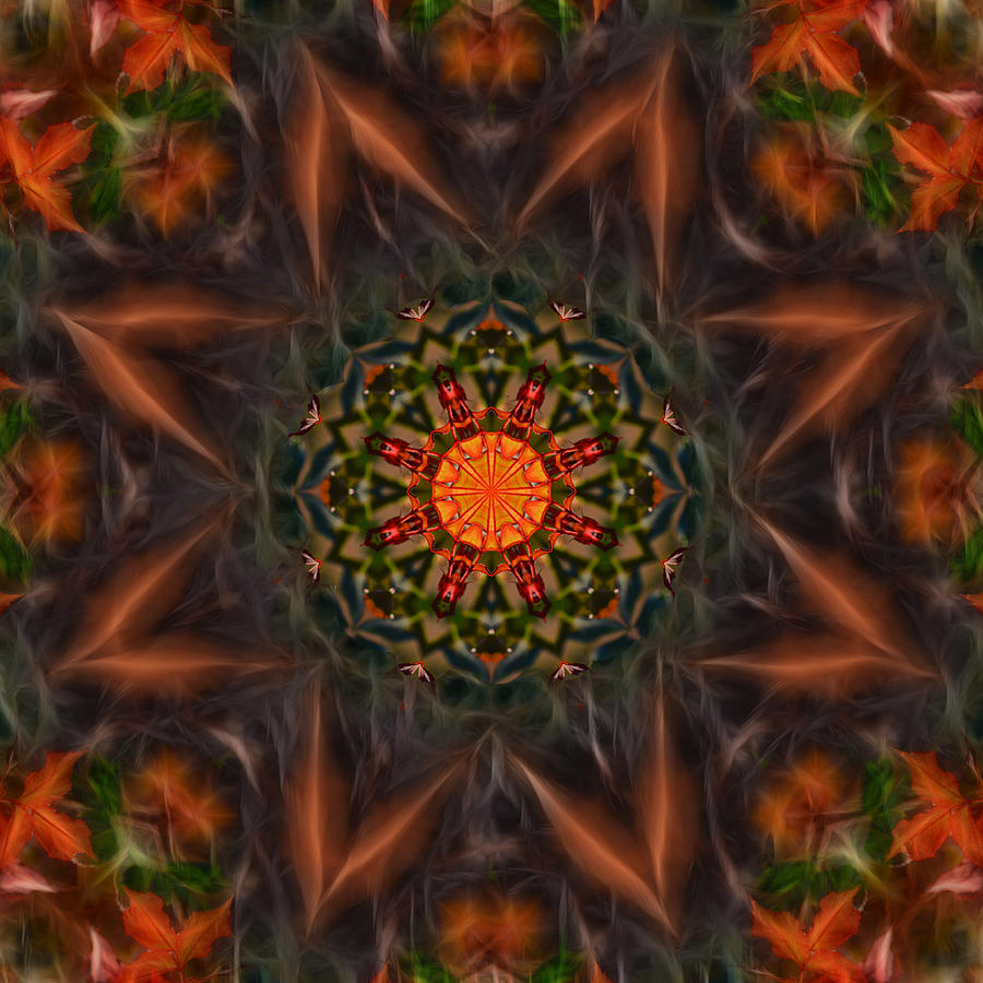Sphere of Life Mandala Photograph by Beth Sawickie
