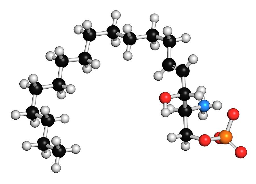 Sphingosine-1-phosphate Photograph by Molekuul/science Photo Library