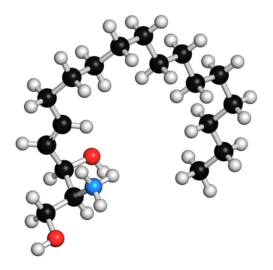 Sphingosine Lipid Molecule Photograph by Molekuul/science Photo Library