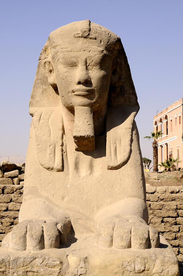 Sphinx at Luxor Egypt Photograph by Brenda Kean