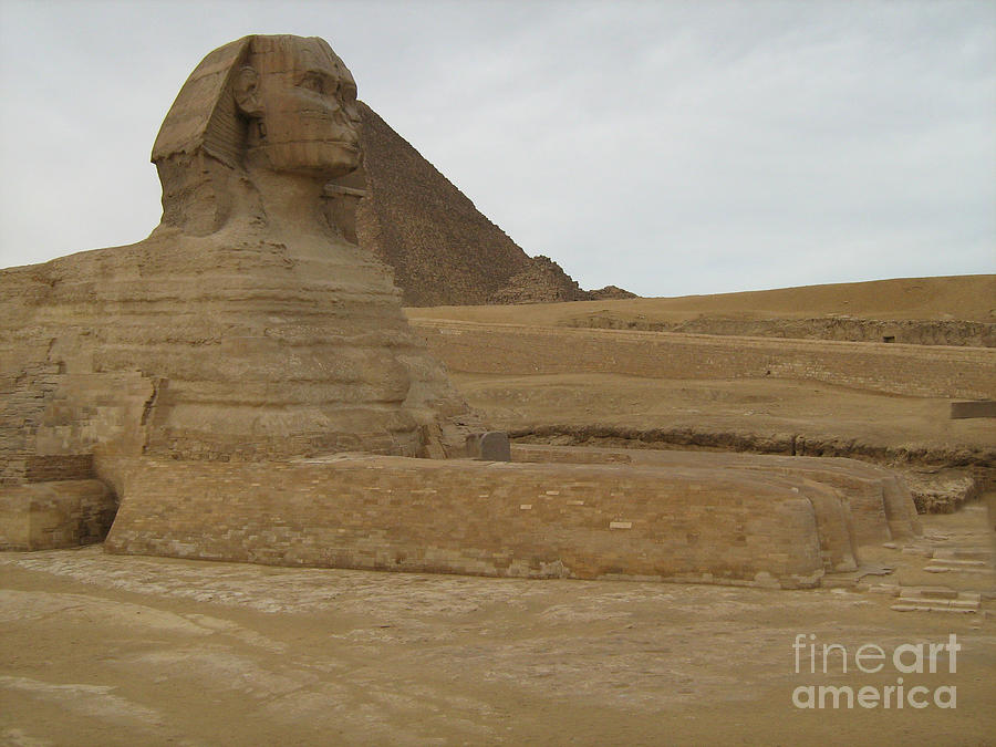 Sphinx Photograph by David Grant