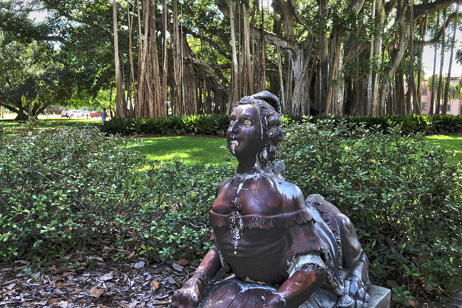Sphinx in the Banyan Forest Photograph by Timothy Lowry