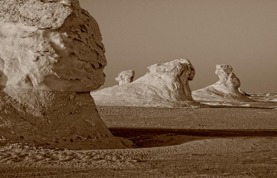 Sphinx in the Desert Photograph by Nigel Fletcher-Jones