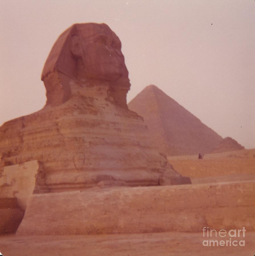 Sphinx Photograph by Steven  Pipella