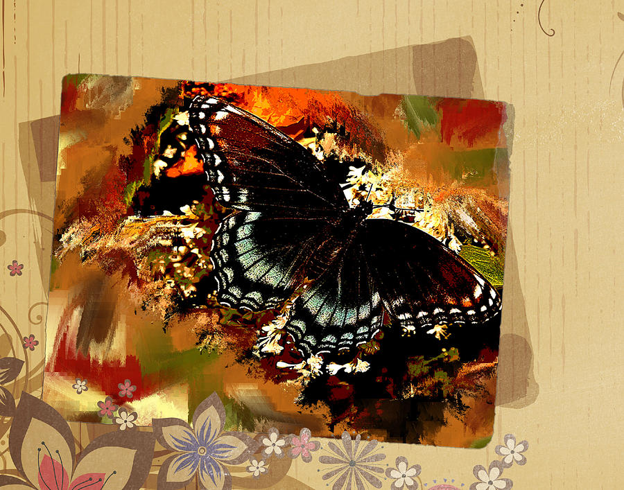 Spicebush Butterfly Photograph by Melinda Dreyer