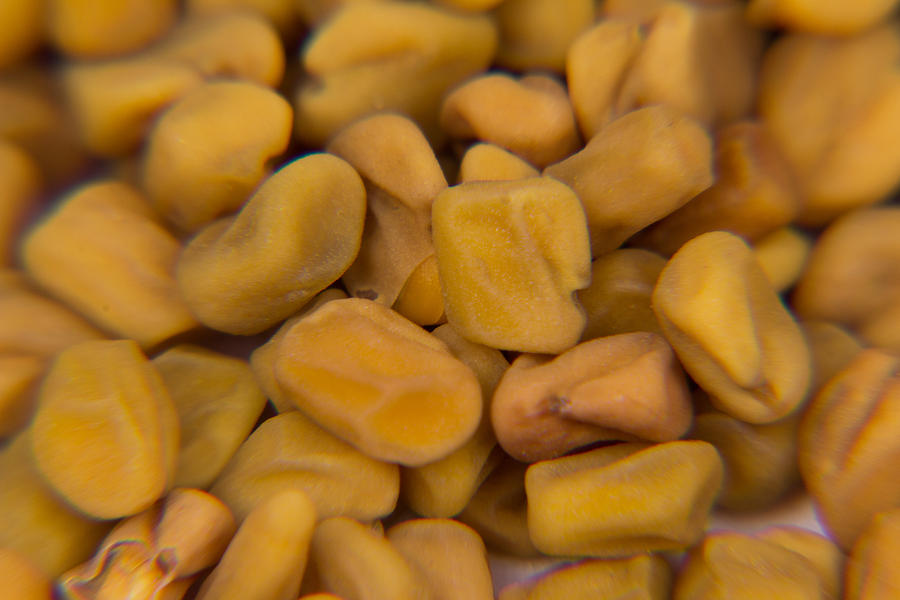 Spicy Close-ups Fenugreek Seeds Photograph