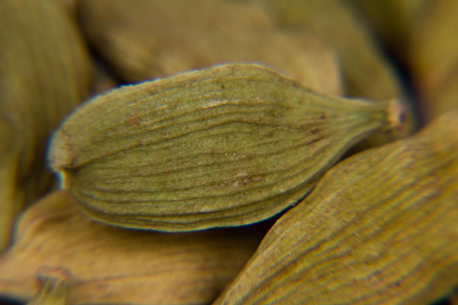 Spicy close-ups Green Cardamom Photograph by SAURAVphoto Online Store