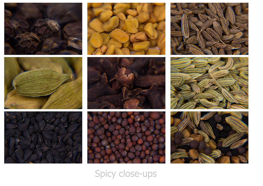 Spicy close-ups Photograph by SAURAVphoto Online Store Spicy close-ups Photograph by SAURAVphoto Online Store