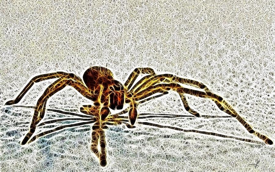 Crawling Spider Mixed Media by Maciek Froncisz