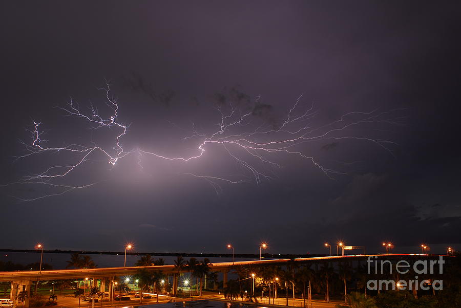 Spider lightning from Downtown Ft. Myers Florida Photograph by Quinn Sedam
