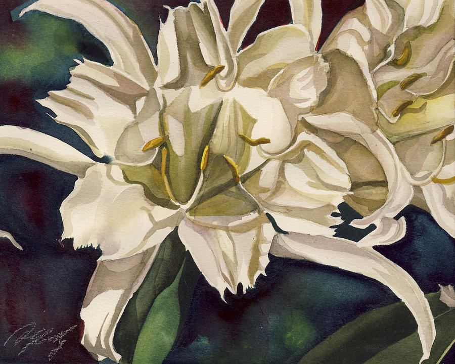 Spider Lily Watercolor Painting by Alfred Ng
