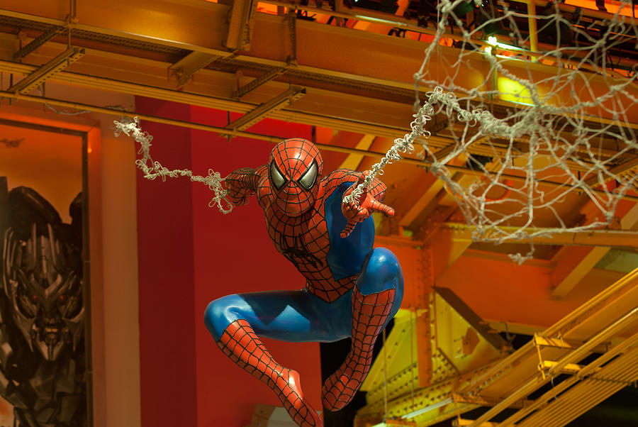 Spider Man Photograph by Paul Mangold