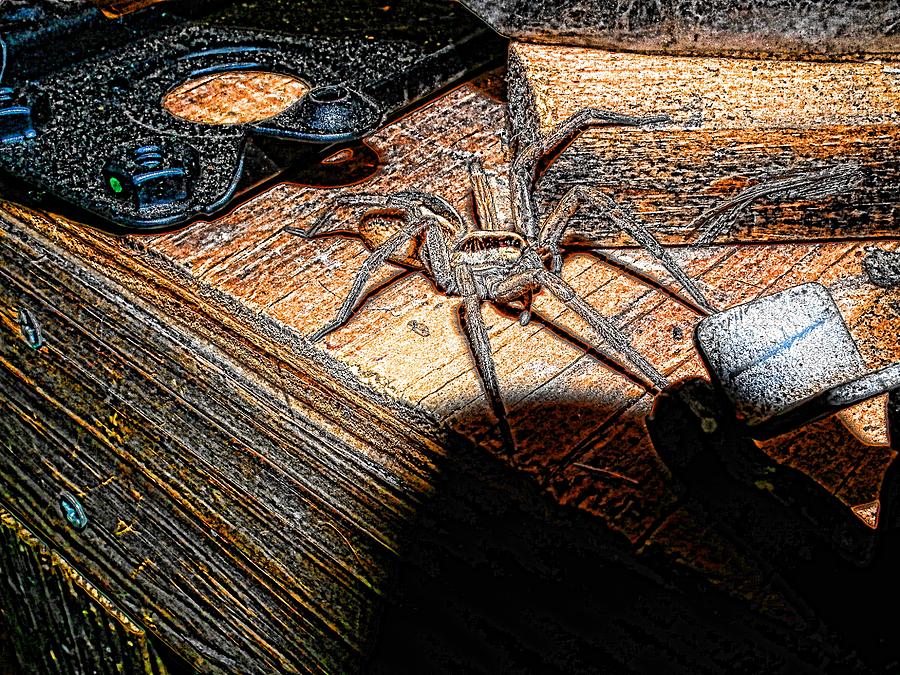 SPIDER on the MOVE Digital Art by Robert Rhoads