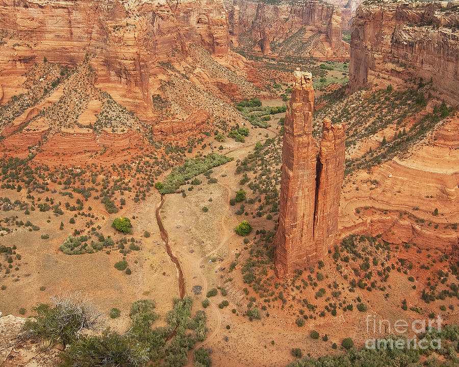 Spider Rock Photograph by Bob and Nancy Kendrick