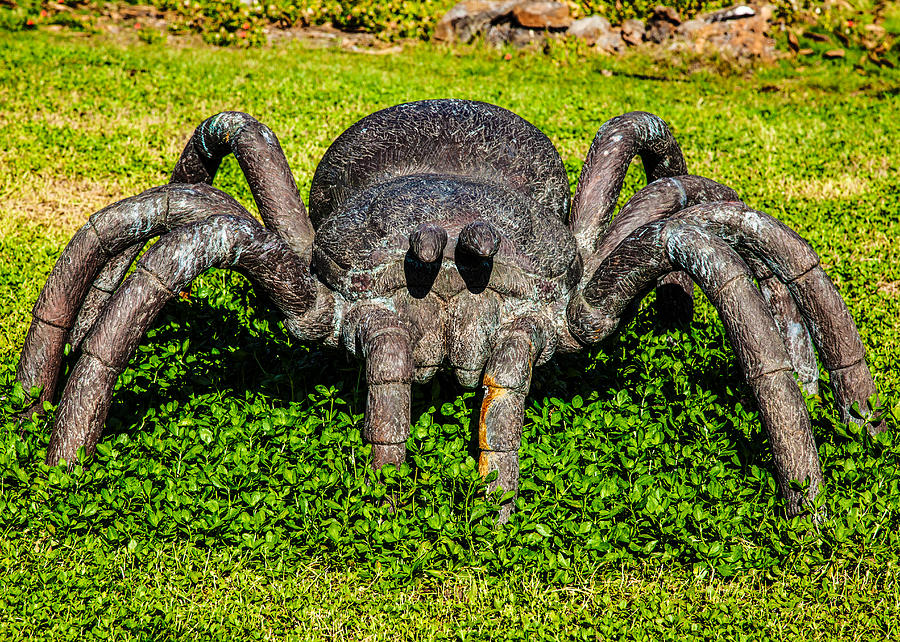 Spider Sculpture Photograph by Omaste Witkowski
