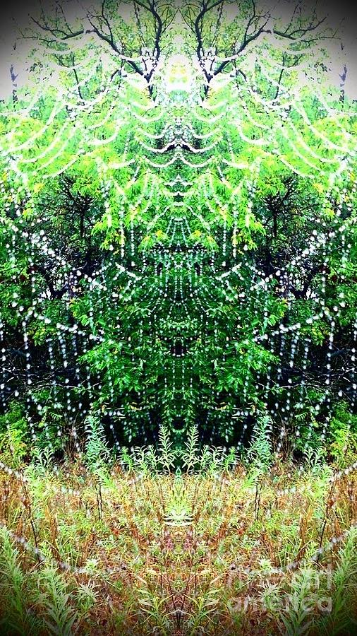 Spider Web 1 Photograph by Karen Newell