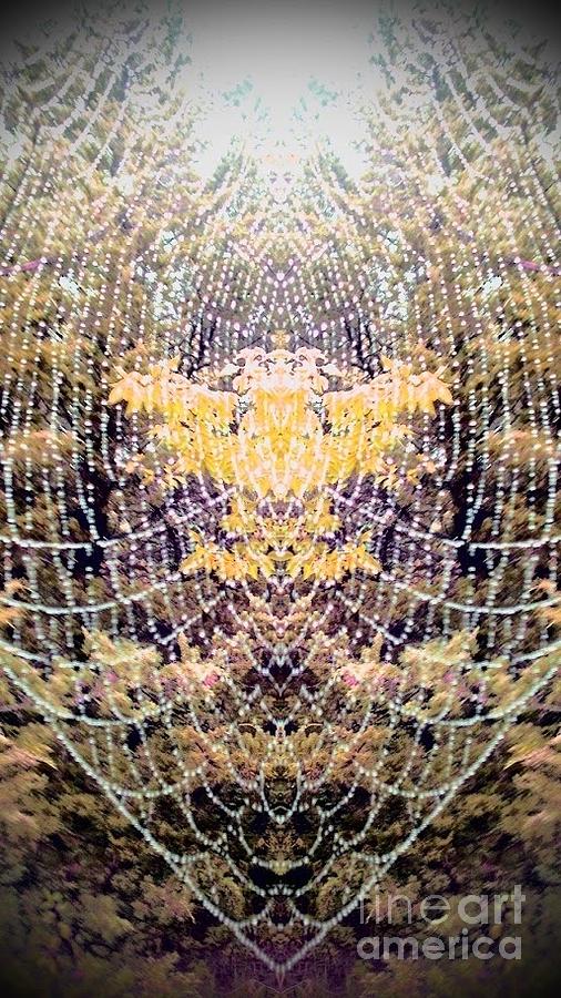 Spider Web 2 Photograph by Karen Newell
