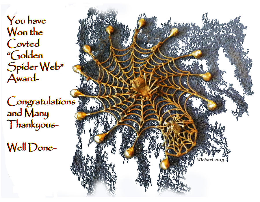 Spider Photograph - Spider Web Congratulation Thank you Well Done by Michael Shone SR