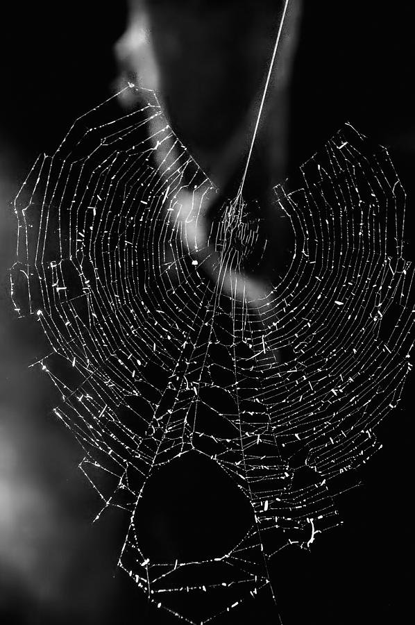 Spider Web II Photograph by Patrick Boening