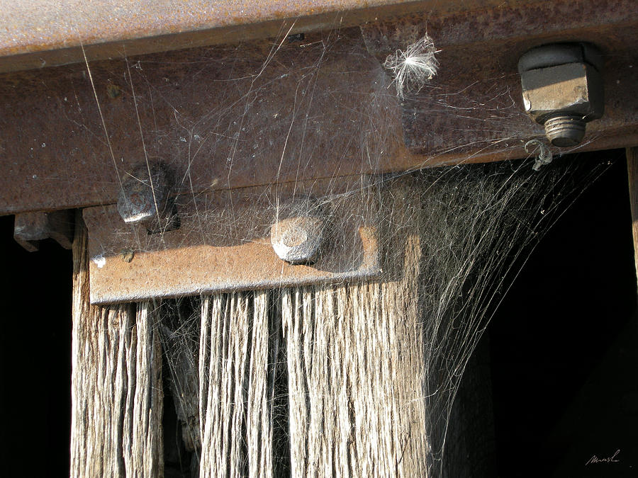 Spider Webbed Railroad Tie Photograph by The Art of Marsha Charlebois