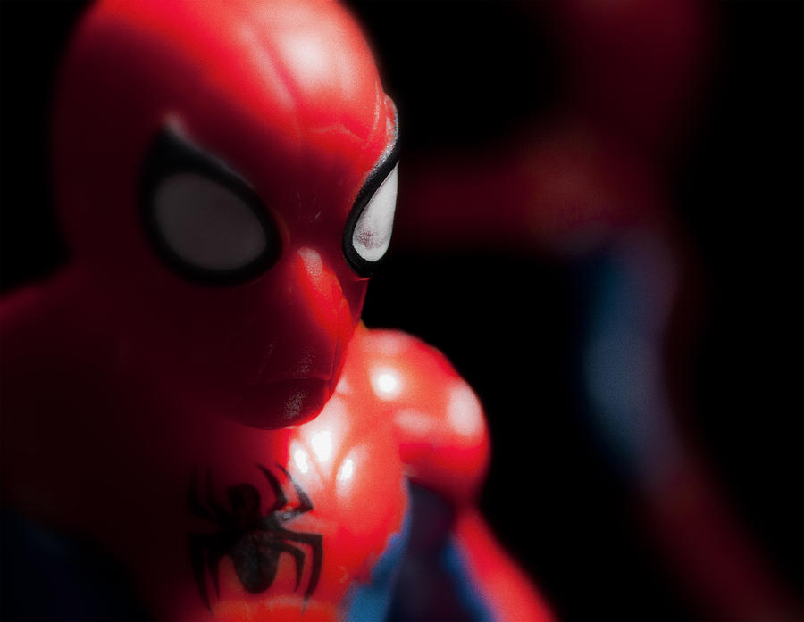 Spiderman Photograph by Bradley R Youngberg