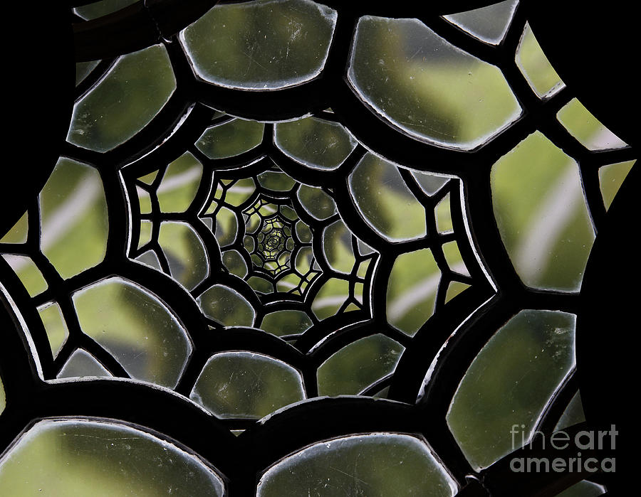 Spiders Web. Photograph by Clare Bambers