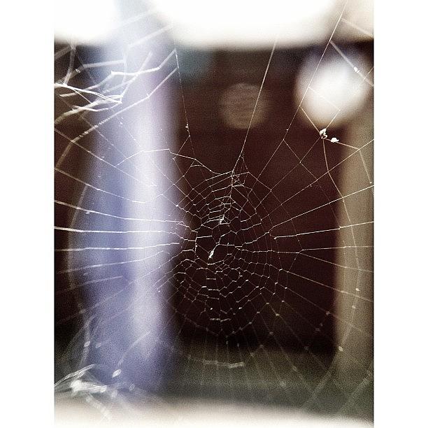 Spiders Web,shot With Macro Lens For Photograph by Jamie Smith