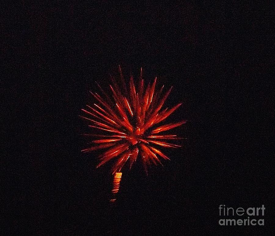 Spiked Flower Fireworks Photograph by Brigitte Emme