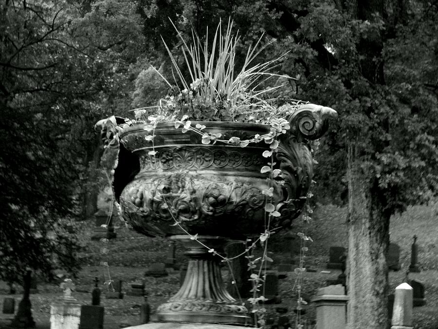 Spiked Urn Photograph by Wild Thing