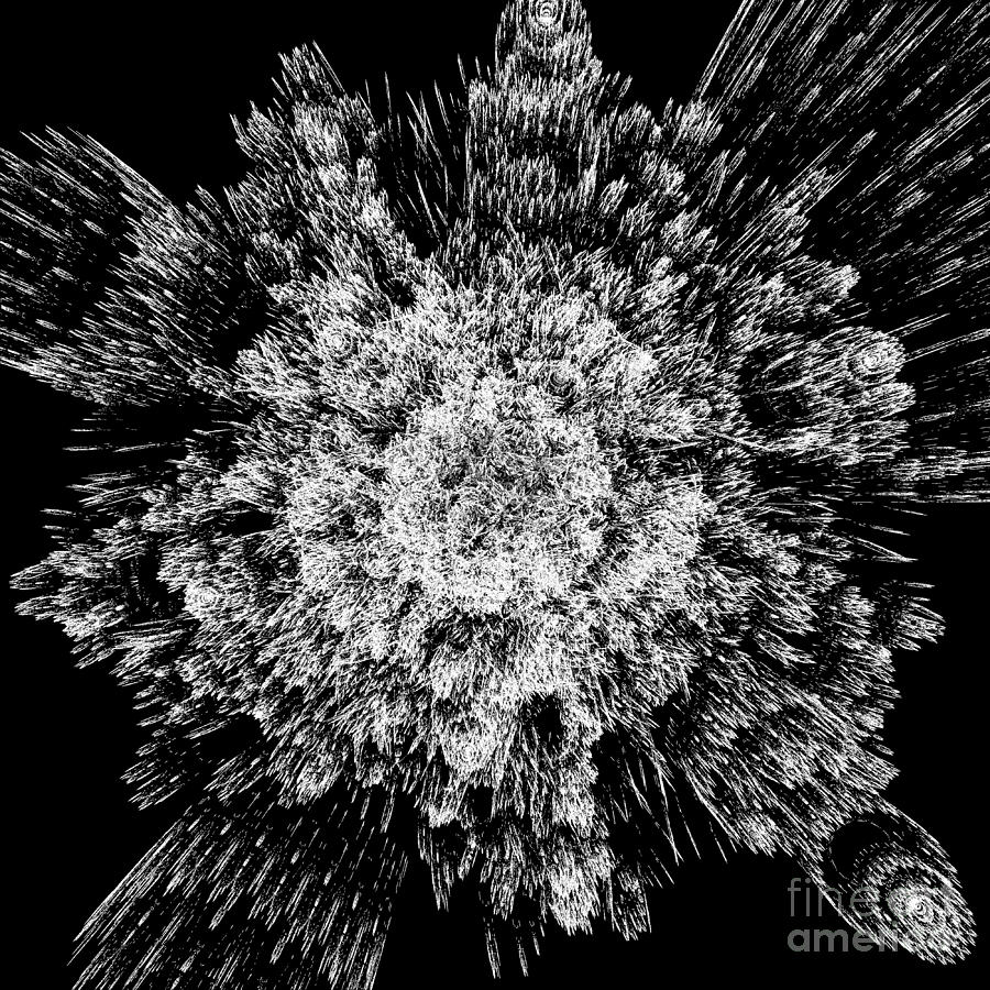 Spiky black and white Digital Art by Gaspar Avila