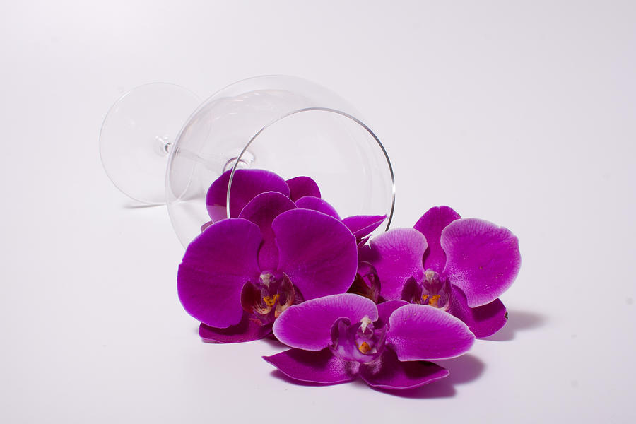 Spilled Orchids 56 Photograph by W Chris Fooshee