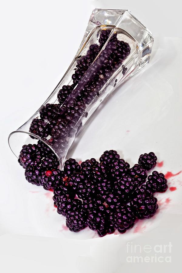 Spilt BlackBerries Photograph by Shirley Mangini