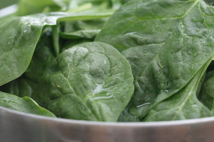 Spinach Leaves Photograph by Science Source
