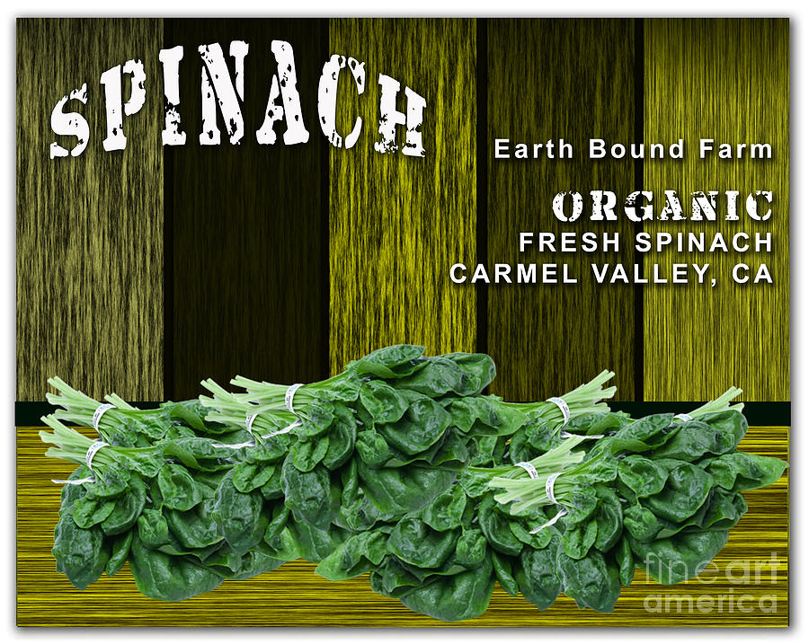 Spinach Mixed Media - Spinach Patch by Marvin Blaine