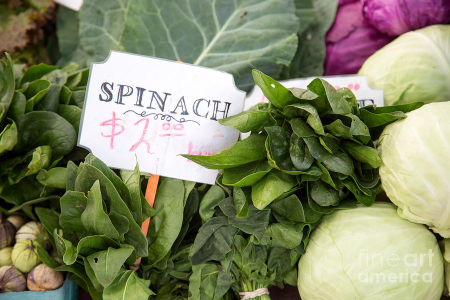 Spinach Photograph - Spinach by Rebecca Cozart